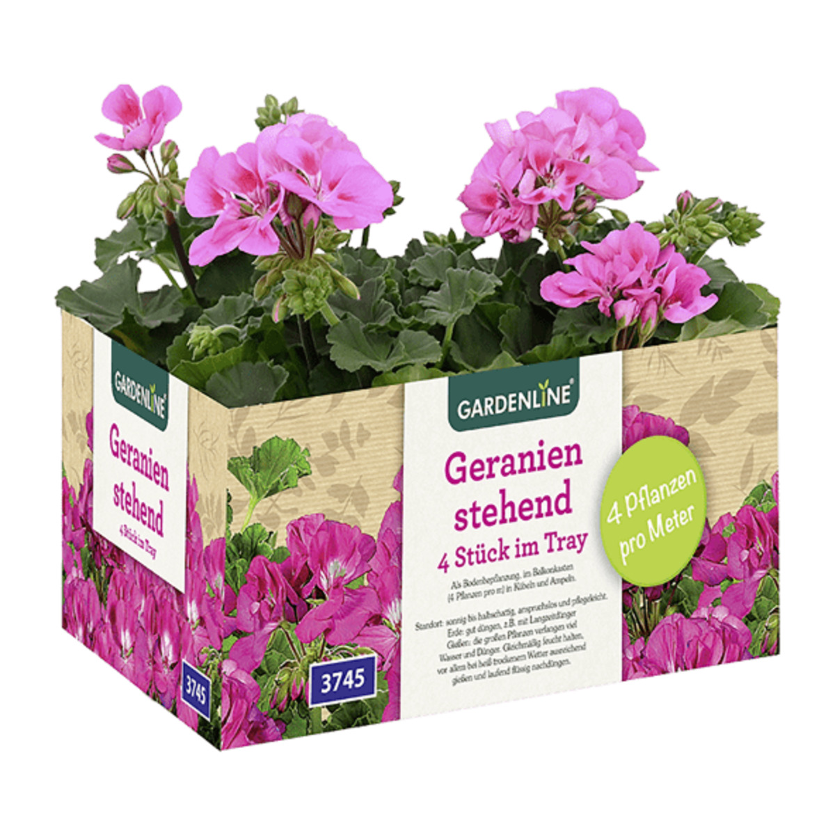 Bild 3 von GARDENLINE Geranien / Fuchsien