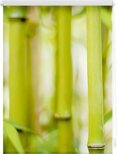 LICHTBLICK ORIGINAL Seitenzugrollo »Klemmfix Motiv Bambus«, Lichtschutz, ohne Bohren, freihängend, bedruckt