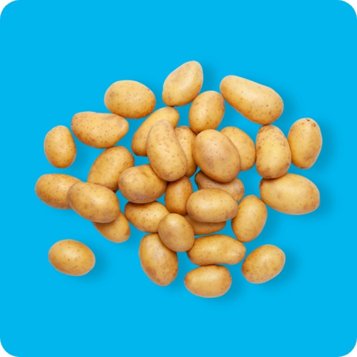 Bild 1 von   Spargelkartoffeln, Speisefrühkartoffeln