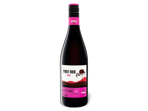 CIMAROSA Pinot Noir Chile Valle Central trocken, Rotwein 2020