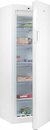 Bild 1 von Hisense Gefrierschrank FV245N4AW2, 169,1 cm hoch, 55 cm breit