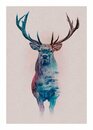 Bild 1 von Komar Poster »Animals Forest Deer«, Tiere, Höhe: 70cm