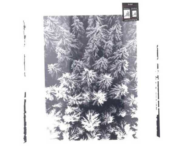 Bild 1 von Bilderrahmen Script, schwarz, 40x50cm