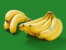 Bild 1 von Bio-Fairtrade-Bananen