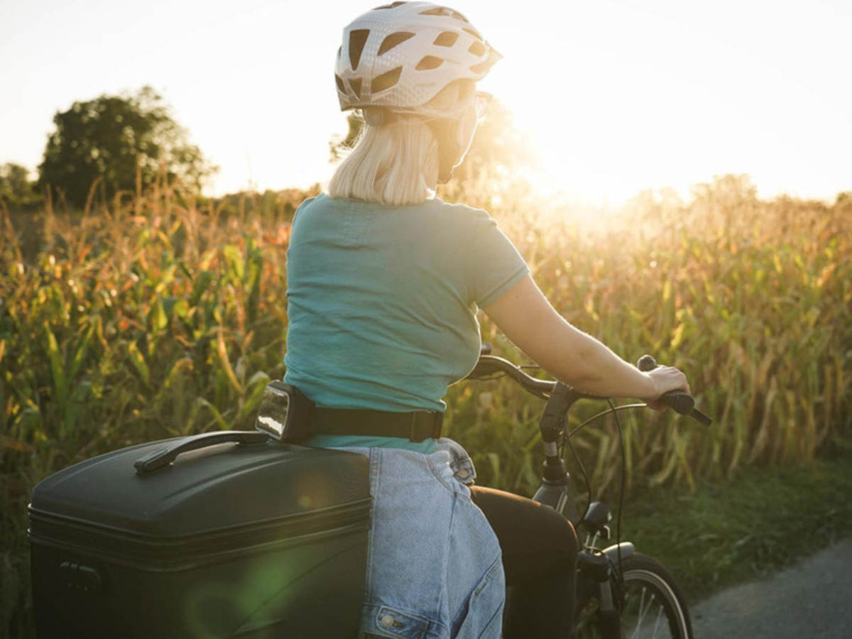 Bild 3 von FISCHER Gepäckträgerbox, isoliert