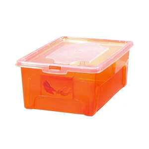 Aufbewahrungsbox "Easybox" 5 L in orange, Kunststoffbox