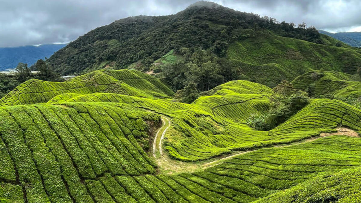 Bild 1 von Rundreisen Malaysia: Rundreise ab/an Kuala Lumpur