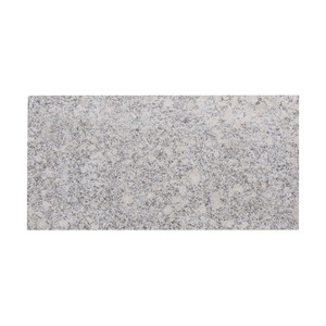 Granit Terrassenplatte