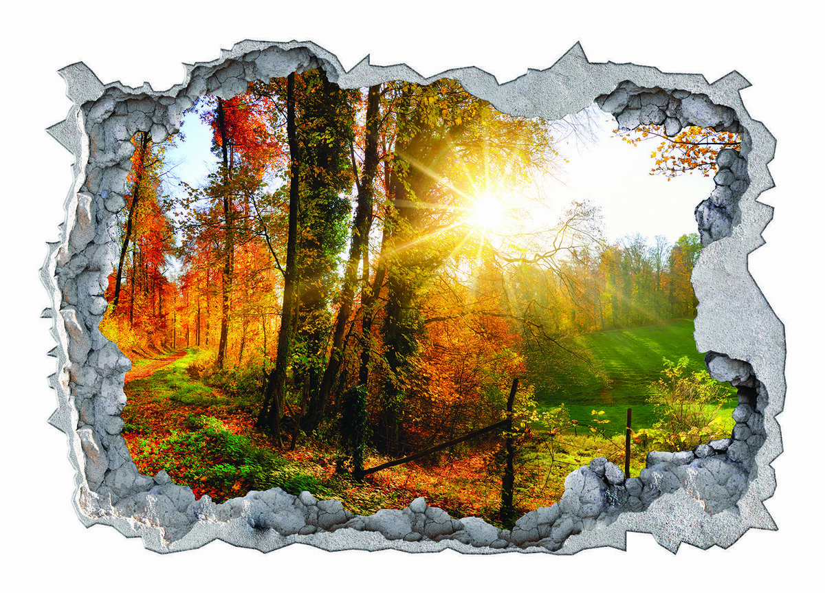 Bild 2 von 3D-Wandsticker