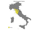 Bild 2 von Duca di Sasseta Sangiovese in Bianco Toscana IGT halbtrocken, Weißwein 2021