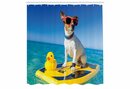 Bild 1 von Abakuhaus Duschvorhang »Moderner Digitaldruck mit 12 Haken auf Stoff Wasser Resistent« Breite 175 cm, Höhe 180 cm, Badeente Hund Ente Surfen