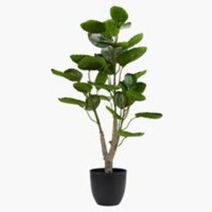Kunstpflanze ARVID H71cm grün