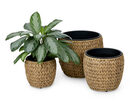 Bild 1 von Pflanztopf Polyrattan, 3er-Set