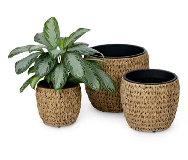 Bild 1 von Pflanztopf Polyrattan, 3er-Set