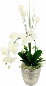 Kunstblume »Arrangement Orchidee/Gras«, I.GE.A., Höhe 60 cm, Topf aus Keramik