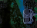 Bild 4 von Wild-/Überwachungskamera mit Infrarot-LEDs