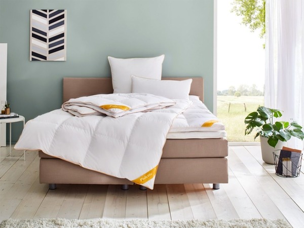 Bild 2 von Balette deLuxe Gänsefeder/Daunen Kopfkissen Gold-Edition