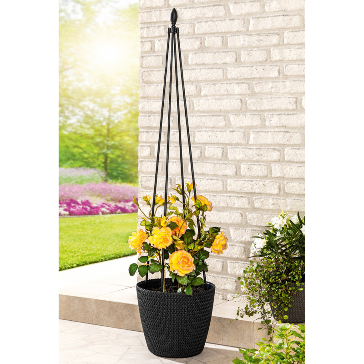 Bild 1 von Powertec Garden Dreieck-Spalier