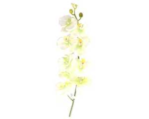 Kunstblume Orchidee creme, ca. 84cm