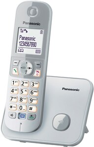 Panasonic KX-TG6821GS Schnurlostelefon mit Anrufbeantworter perlsilber