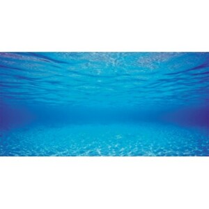 Aquarienrückwand Unterwasserwelt