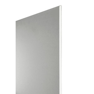 Gipskartonplatte „Miniboard“ 120 x 60 x 1,25 cm