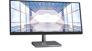 Lenovo L29w-30 Office Monitor- IPS-Panel, FHD, Höhenverstellung UWFHD-Auflösung max. 2560 x 1080