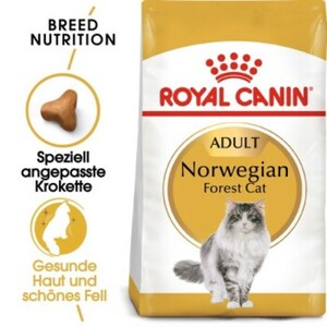 Royal Canin Norwegian Forrest Cat Adult