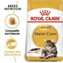 Bild 1 von Royal Canin Maine Coon