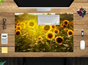 cover-your-desk.de Schreibtischunterlage »Schreibtischunterlage – Sonnenblumenfeld – 60 x 40 cm und 70 x 50 cm – aus hochwertigem Vinyl«, (1 tlg)