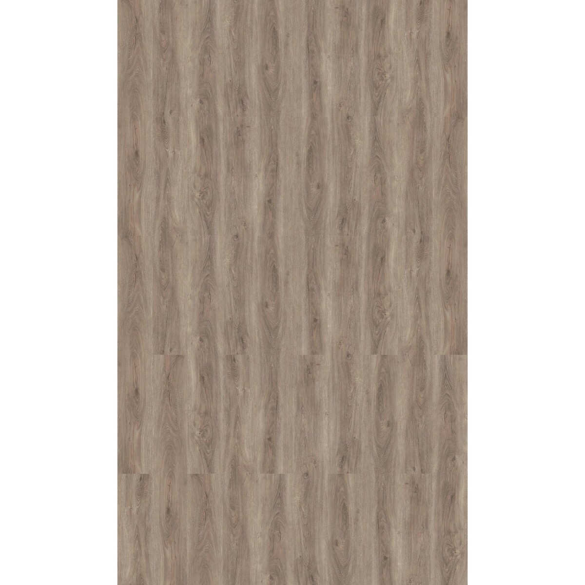 Bild 1 von Click-Vinylboden Eiche Lucca mit integriertem Trittschall