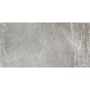 Bild 1 von Feinsteinzeug Spectra Grau glasiert poliert 28,6 cm x 58 cm