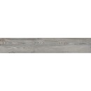 Bild 1 von Feinsteinzeug Landhausdiele Grau glasiert matt 20 cm x 120 cm