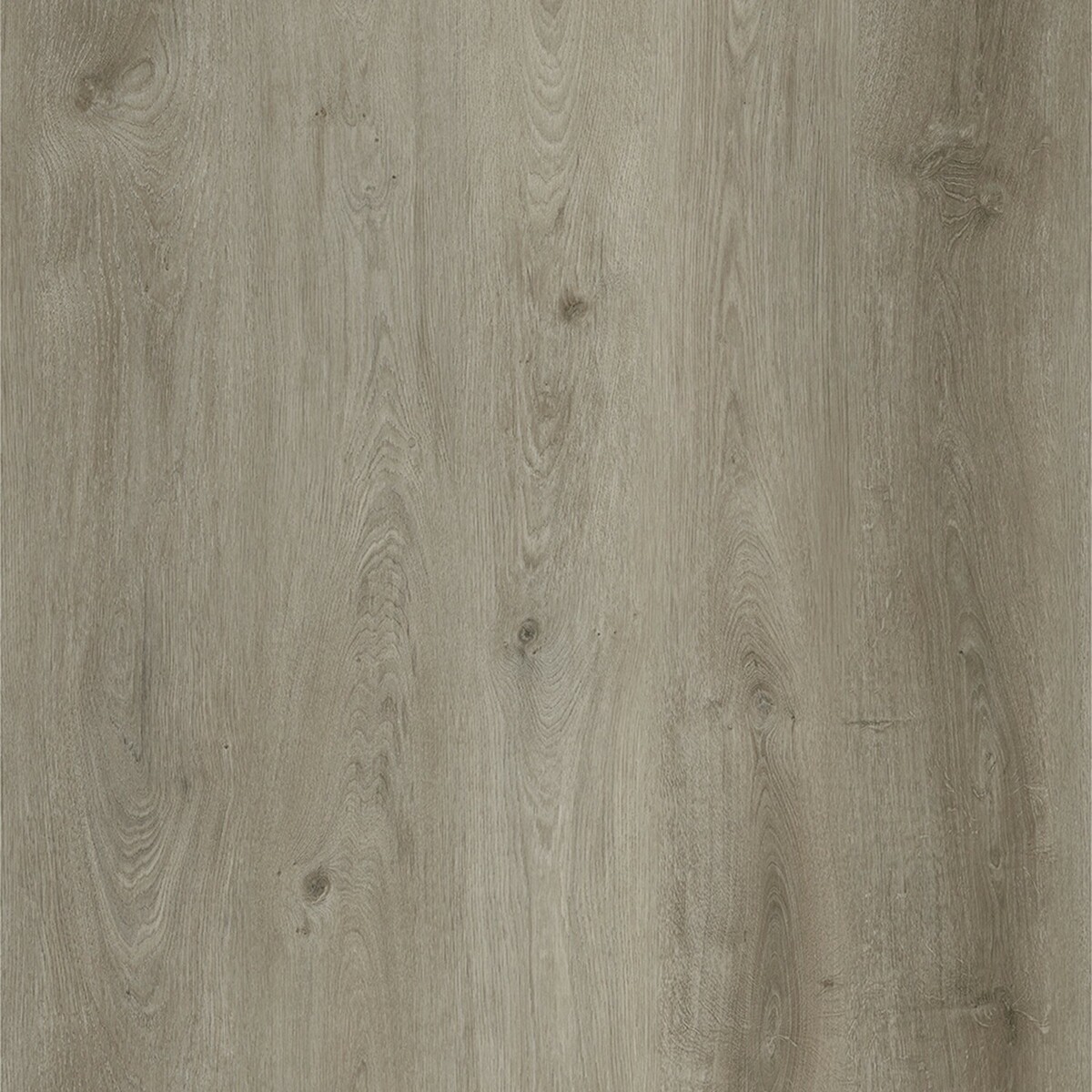 Bild 1 von Click-Vinylboden Eiche Trend mit integriertem Trittschall