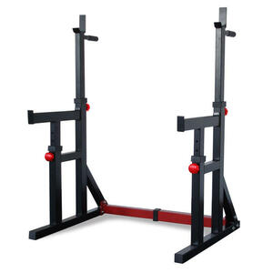Titanium Strength Squat Rack / Dip Stand
