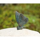 Bild 1 von Deko-Figur Schmetterling auf Rosariofindling 12 cm
