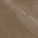 Bild 1 von Bodenfliese Desert Feinsteinzeug Braun Glasiert Matt Rekt. 60 cm x 60 cm