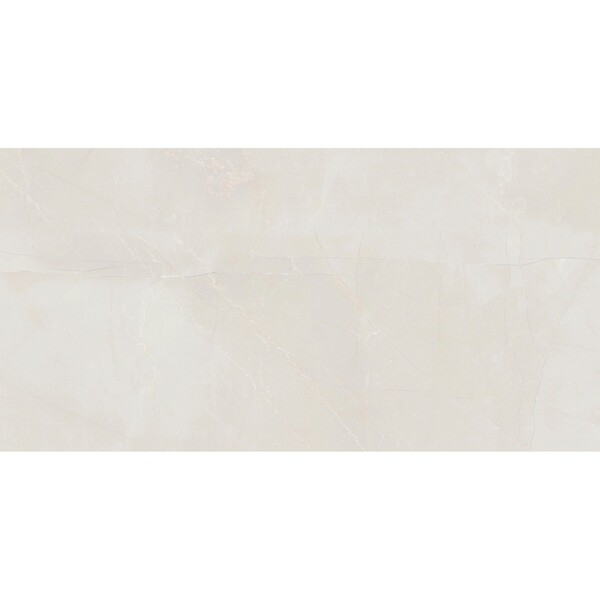 Bild 1 von Wandfliese Tundra Silver 30 cm x 60 cm
