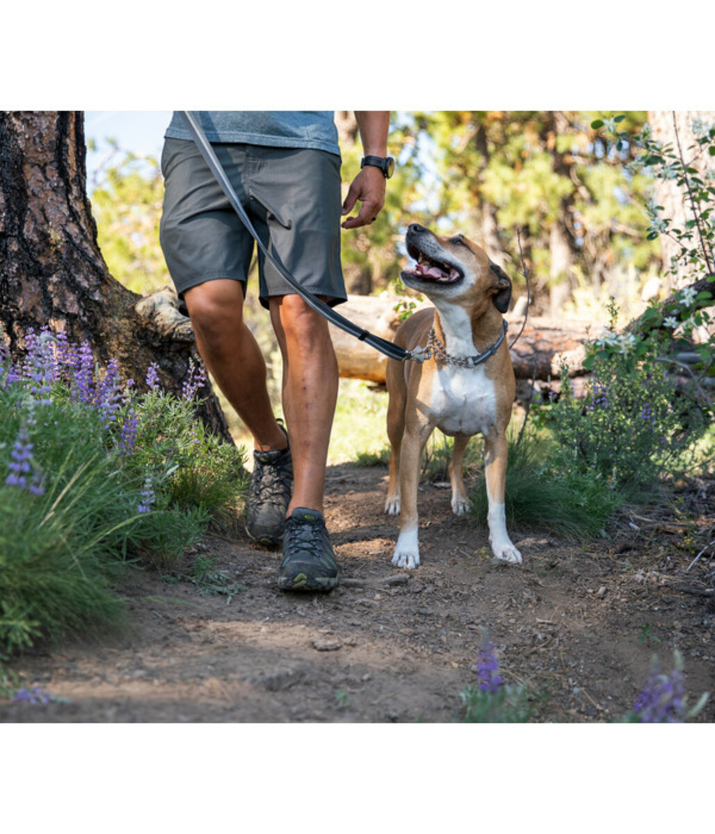 Bild 2 von RUFFWEAR® Hundehalsband Chain Reaction™ Basalt Gray, L