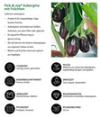 Bild 4 von Pick-&-Joy® Aubergine, mit Frucht