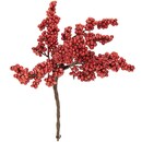 Bild 1 von Beerenpick rot-natur 14cm