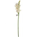 Bild 2 von Orchidee weiß 73cm