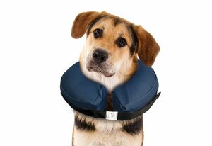 Karlie OP-Body »Hunde Schutzkragen - Halskrause - aufblasbar-«, in verschiedenen Größen