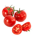 Bild 3 von Dehner Gourmet Garten Tomate, veredelt