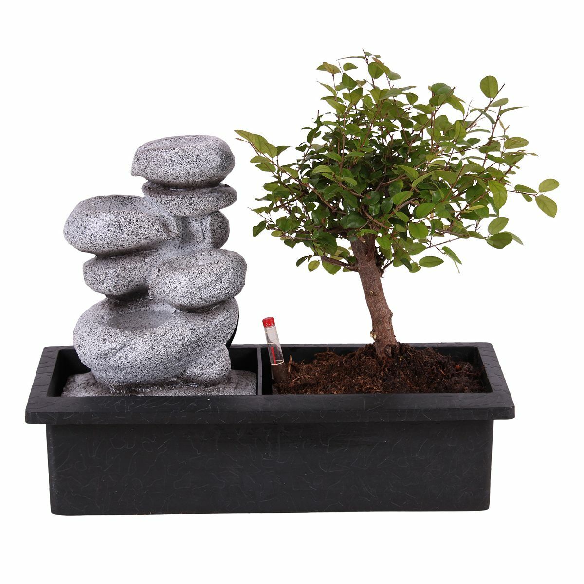 Bild 1 von ROOTZ PLANTS Bonsaibaum mit fließendem Wasserfall über Zen-Steine Höhe ca. 25-30cm