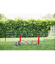 Bild 2 von KERBL Agility Nagerspielzeug Steilsprung, ca. B70/H35/T5 cm