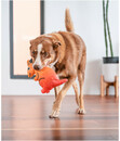 Bild 4 von Red Dingo Hundespielzeug DURABLES Toys Känguru