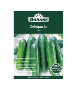 Dehner Premium Samen Salatgurke 'Silor'