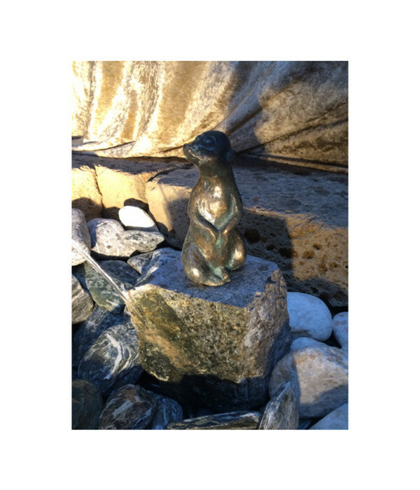 Bild 1 von Rottenecker Bronze-Erdmännchen auf Granit, wasserspeiend