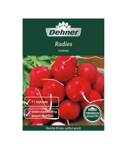 Dehner Premium Samen Radies 'Celesta'